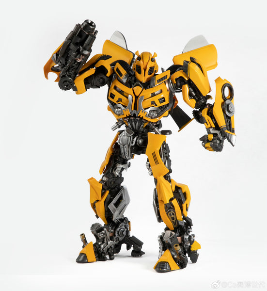 Bee Spotlight: The Bumblebee · ExtermPRO